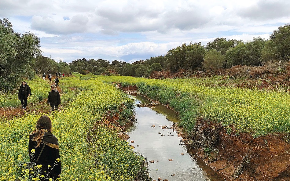 Eco groups urge review of river management project