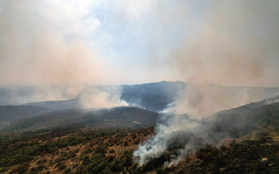 Ministry announces measures to support fire-stricken region of Evros