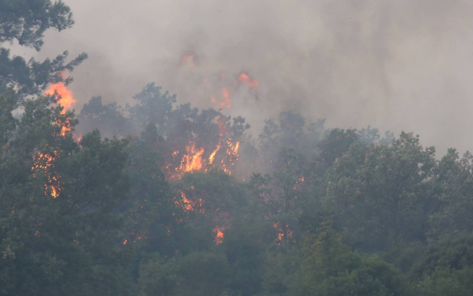 More villages evacuated as wildfire in northern Greece rages for second day