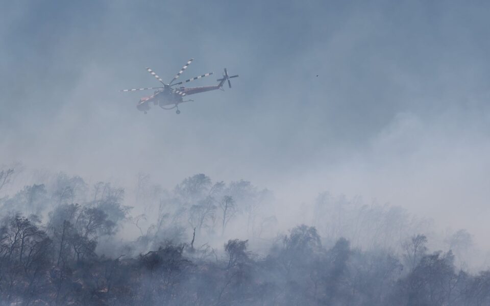 Fire breaks out near Karystos on Evia