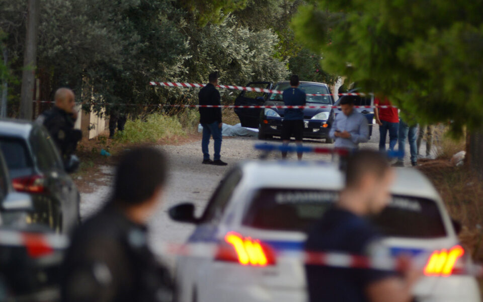 Gun used in gangland murder of six Turks recovered