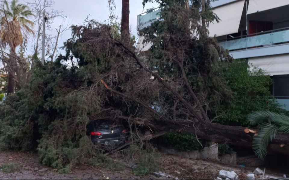 Strong rains, winds topple trees; shipping affected