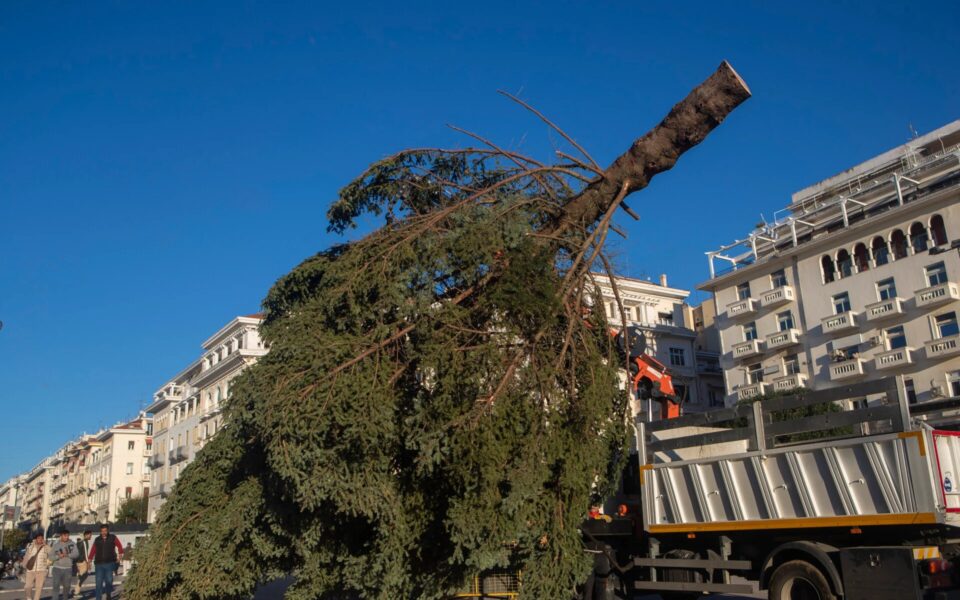 Christmas tree recycling program for sustainable waste management