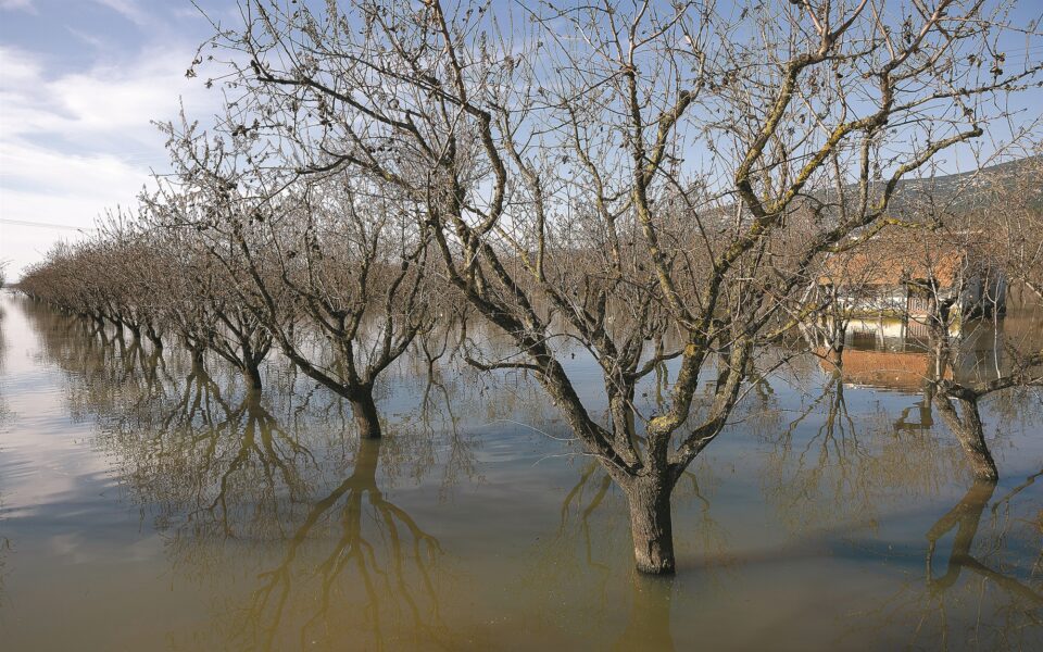 Greek flood deaths surge over past decade