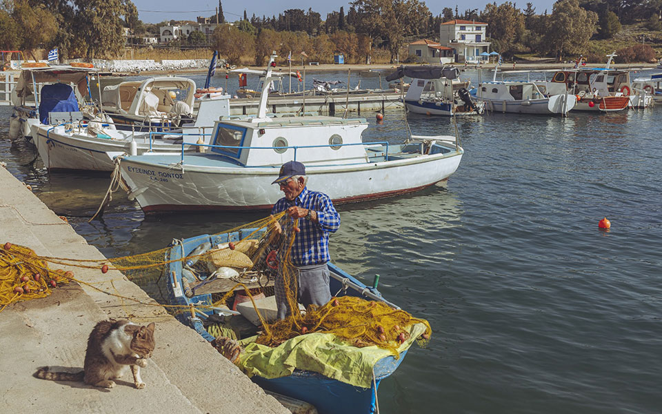 51-reasons-for-a-spring-day-trip-to-aegina9