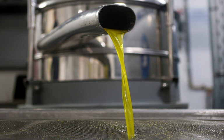 Olive oil under threat of EU ban