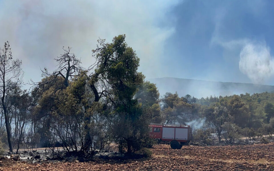 Wildfire near Sofiko in Corinthia region injures firefighters and prompts evacuation alert