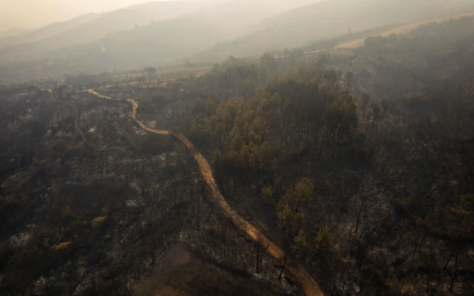 Google expands AI-powered fire tracking to Greece