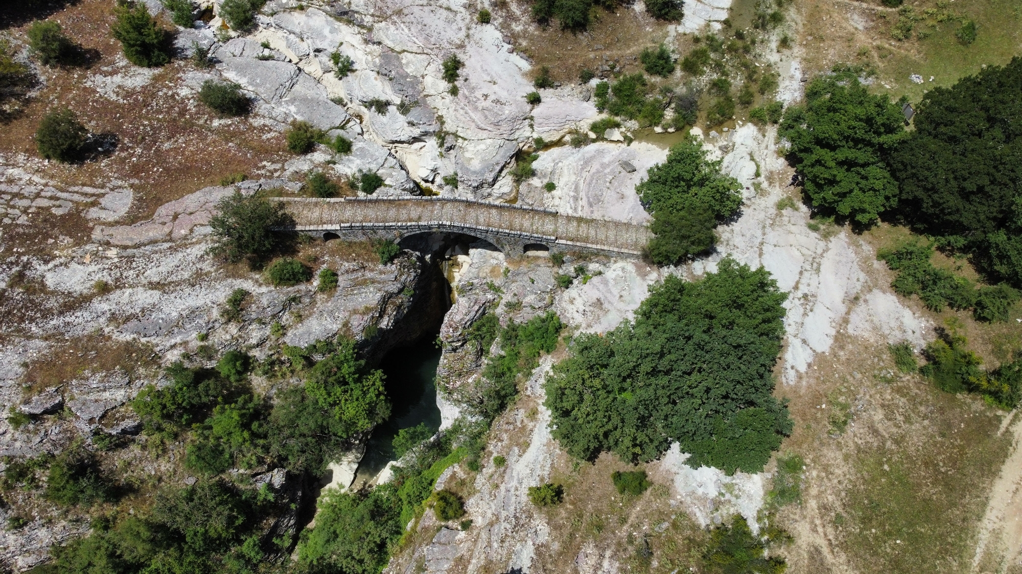 bridges-of-epirus-inspire-an-international-academic-partnership3