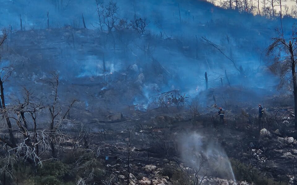 After second Mt Parnitha blaze, forest regeneration hopes fade