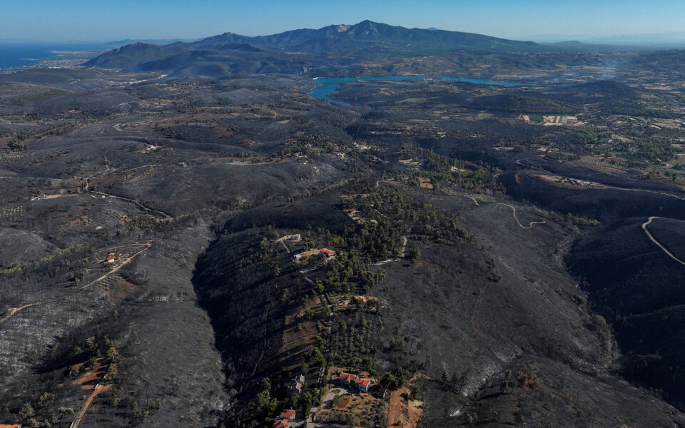 Two-fifths of Attica’s forests have burned since 2017