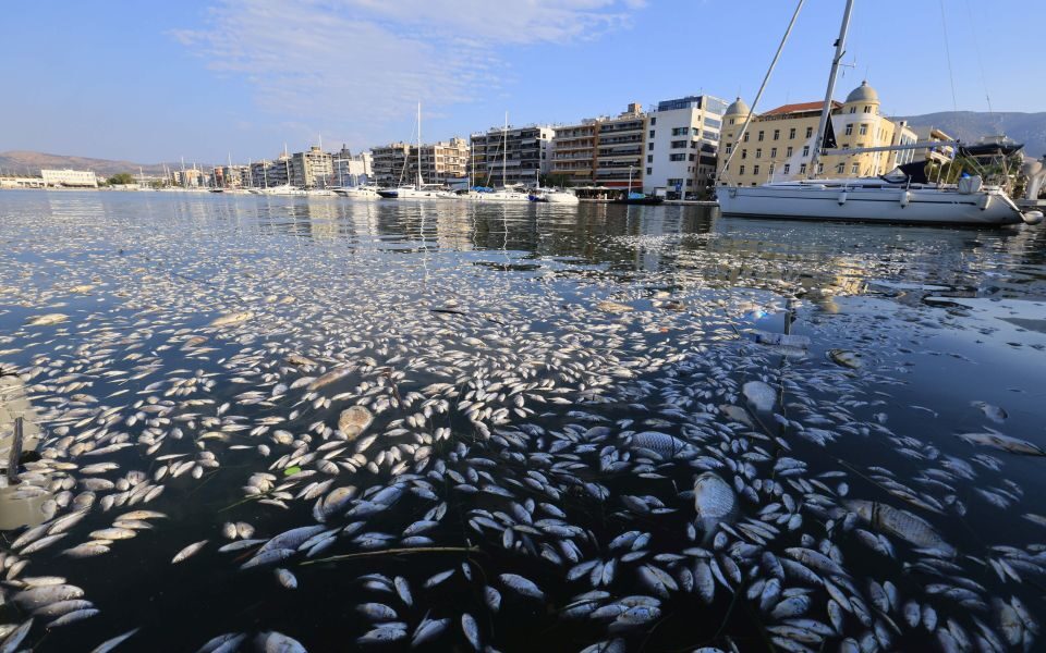 Volos warns against swimming in eight beaches after dead fish pollution