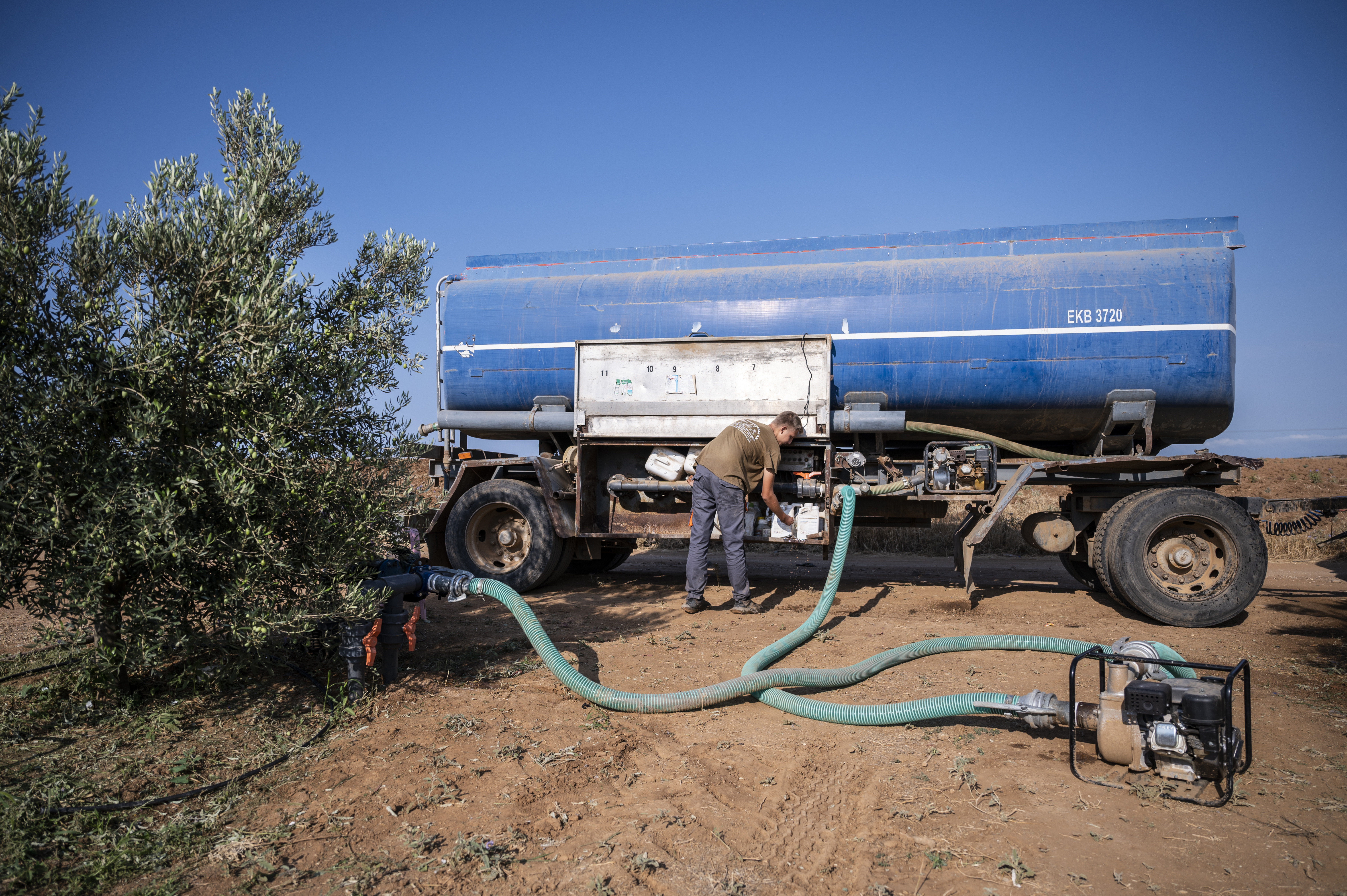 drying-lakes-and-thirsty-trees-in-drought-hit-greece-water-trucks-are-keeping-crops-alive1