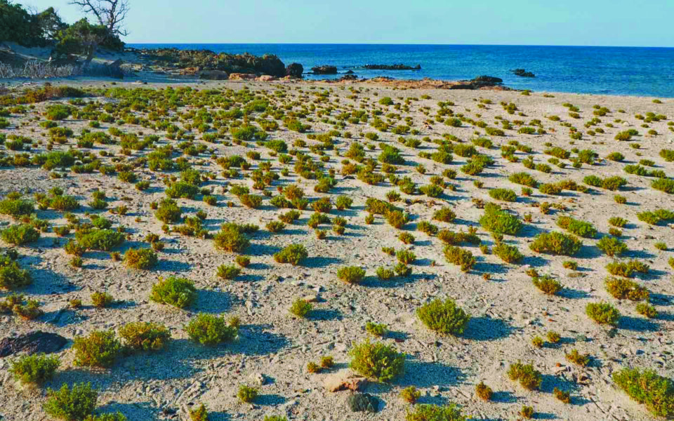 Idyllic island finally to be rid of construction ruins