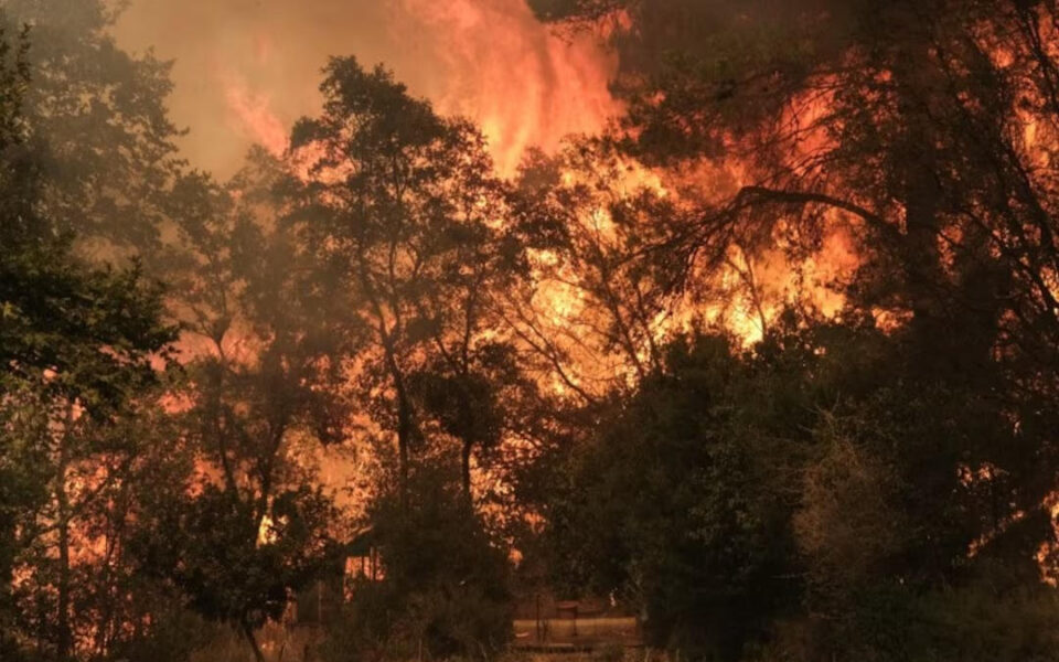 Wildfire fanned by gales menaces Athens suburbs as residents flee