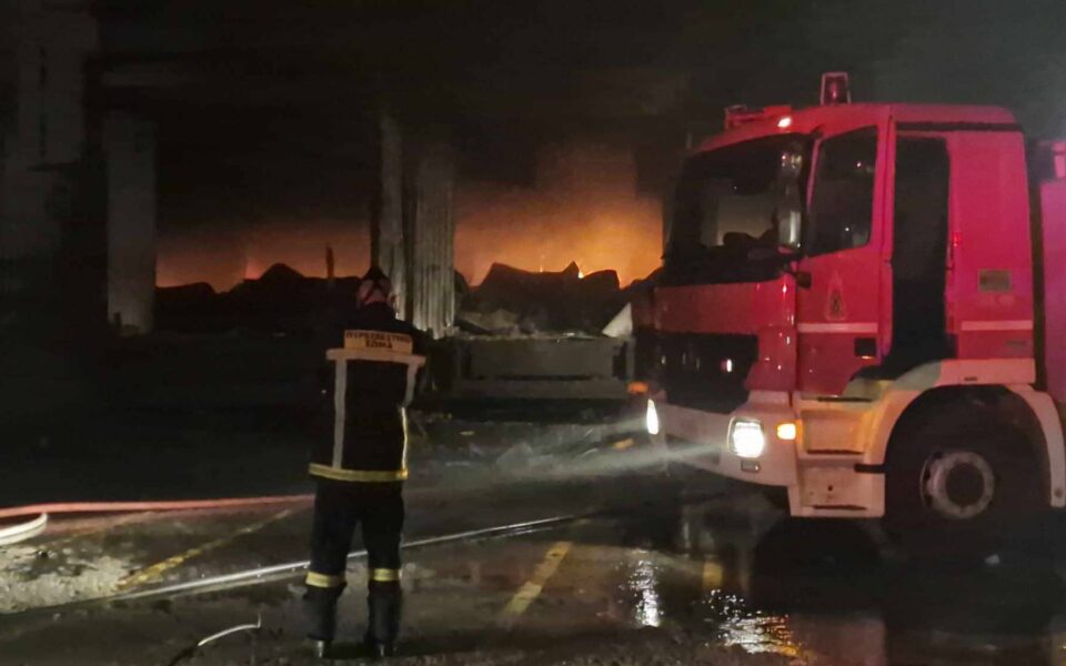 Eco-militant group claims responsibility for fire in Thessaloniki egg factory