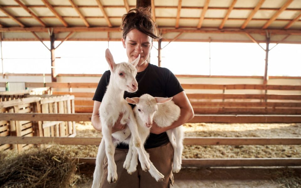 Goat plague scares Greek farmers still reeling from historic floods