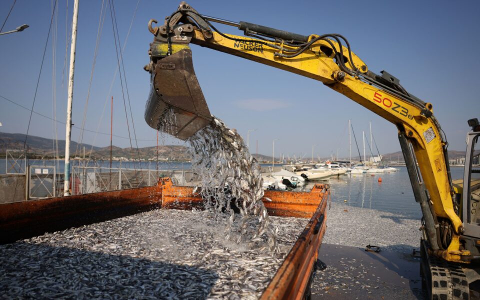 Thessaly nears completion of cleanup after mass fish deaths; swimming ban remains