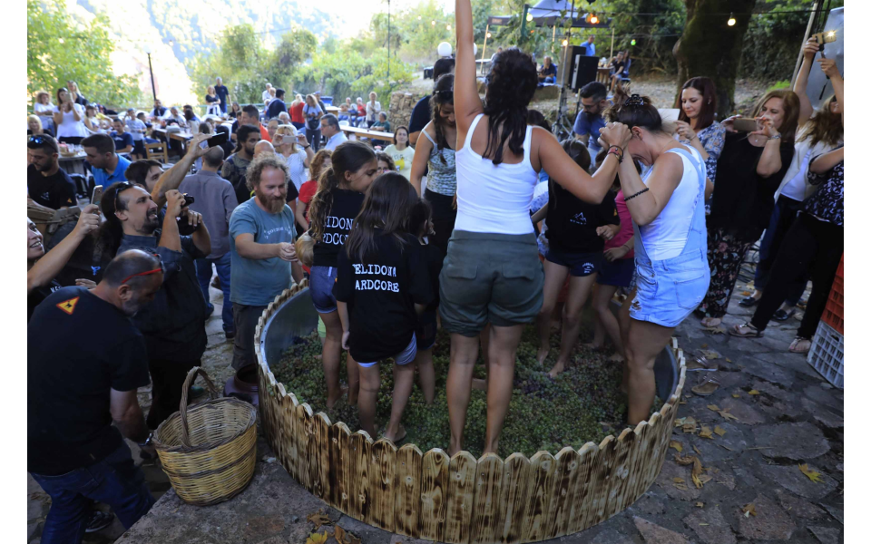 Grape harvest festival breathes new life into Helidona