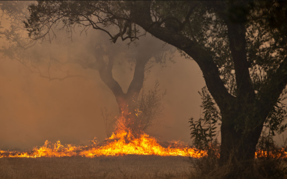 Wildfire rages in Corinth regional unit