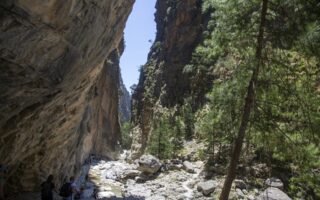 remaining-tourists-evacuated-from-samaria-gorge