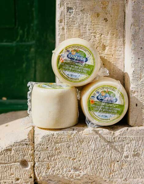 the-taste-of-lesvos-vasilas-traditional-ladotyri-cheese3