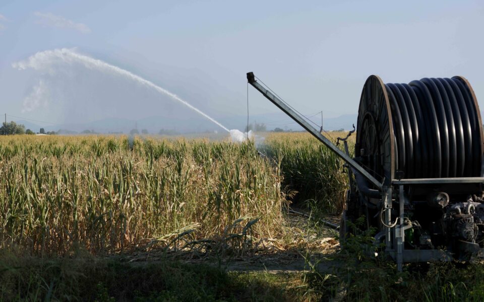 Greece faces water crisis amid climate change and inefficient use, experts warn