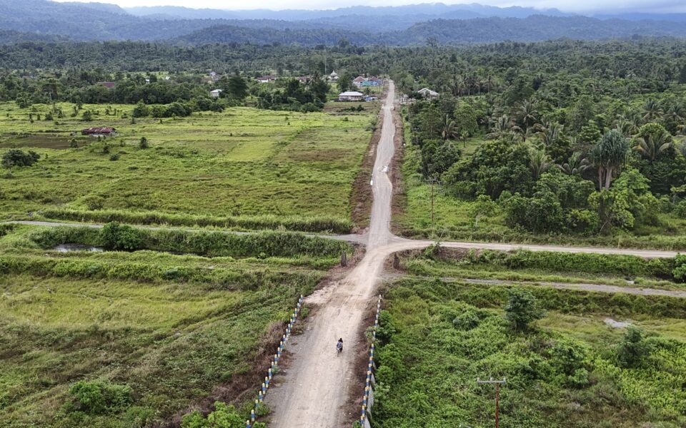 Countries, businesses and trade officials urge EU to rethink deforestation regulation