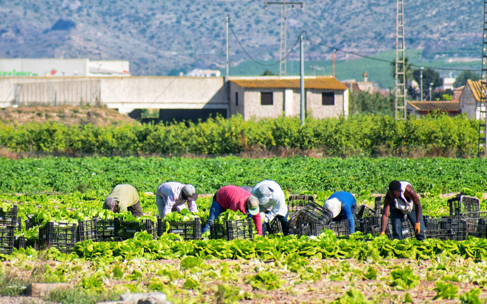 Overhaul for foreign workers